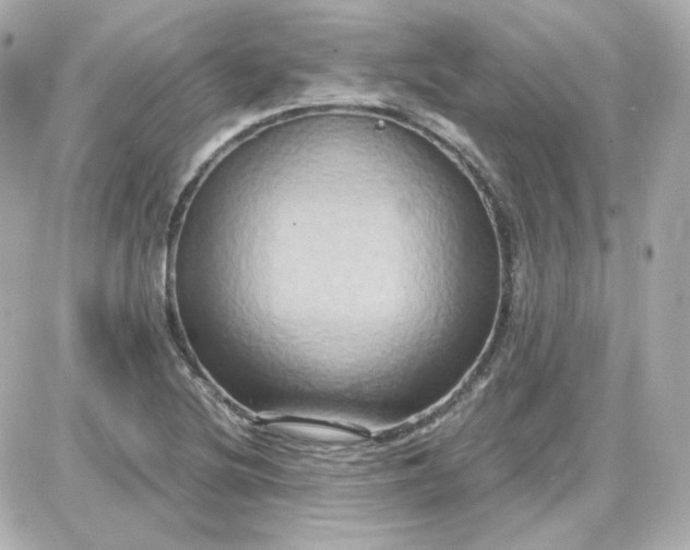 X0000087521220200705111958