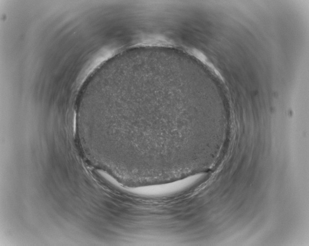 X0000087521221200705111958