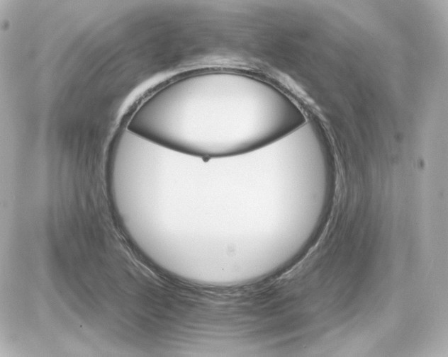 X0000087521222200705111958