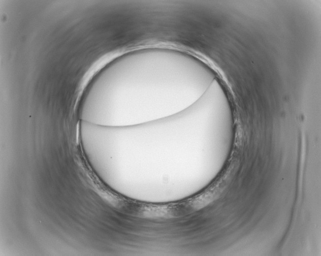 X0000087521223200705111958