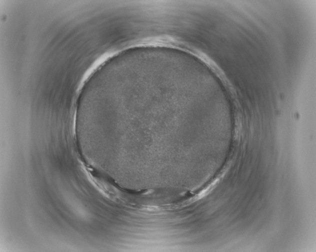 X0000087521224200705111958