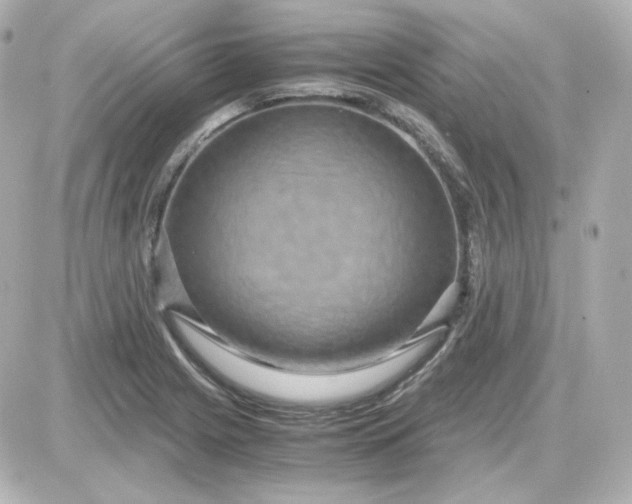 X0000087521225200705111958