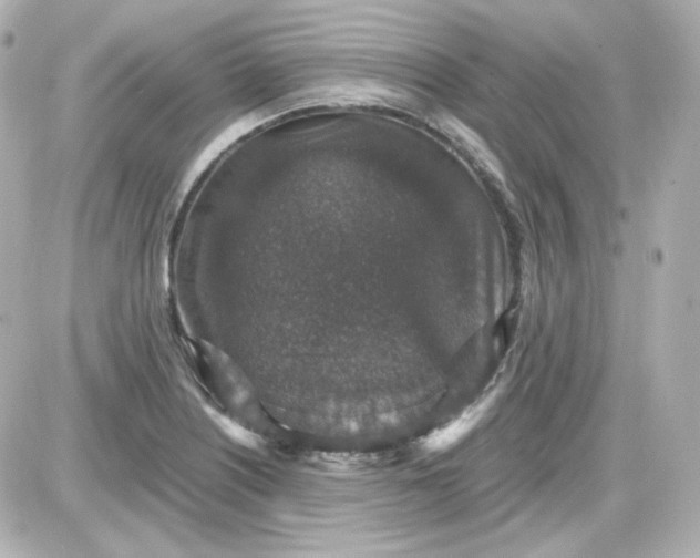 X0000087521226200705111958