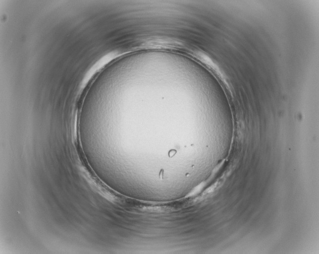 X0000087521227200705111958