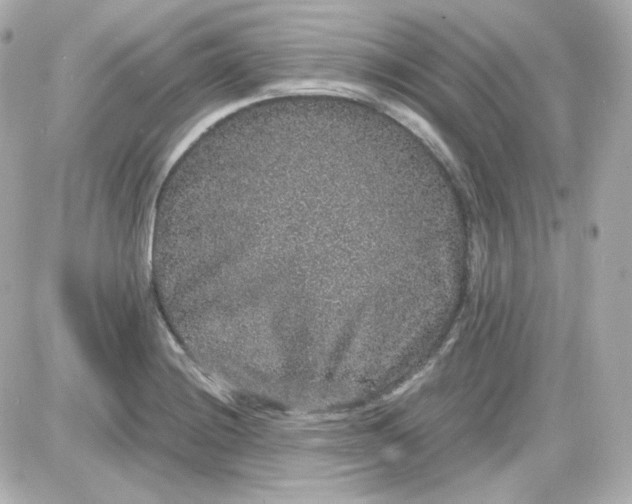 X0000087521228200705111958