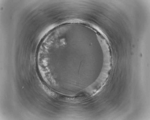 X0000087521229200705111958