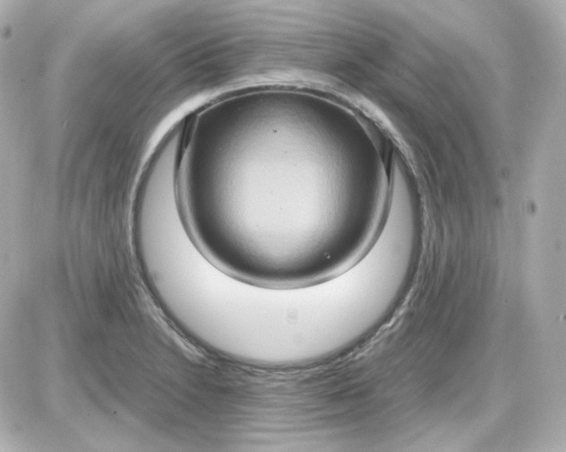 X0000087521230200705111958