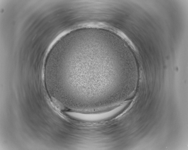 X0000087521232200705111958