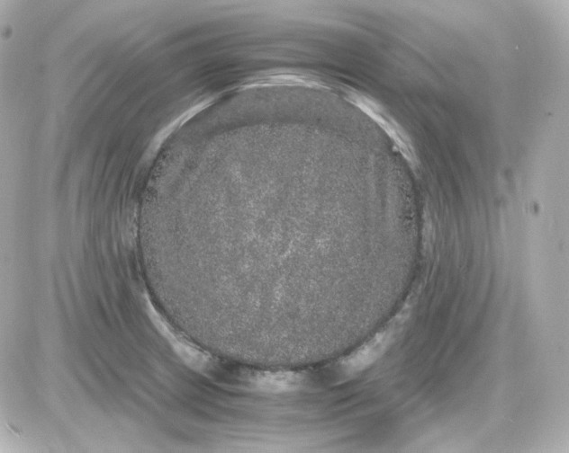 X0000087521233200705111958