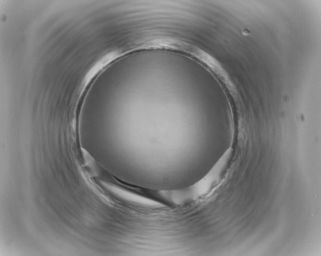 X0000087521234200705111958