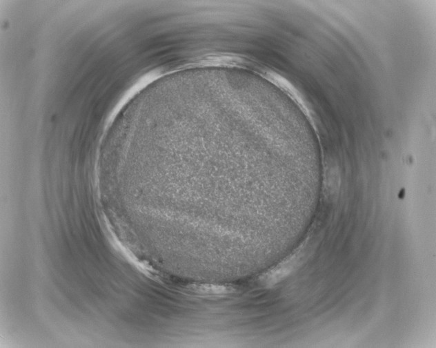 X0000087521235200705111958