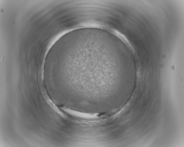 X0000087521236200705111958