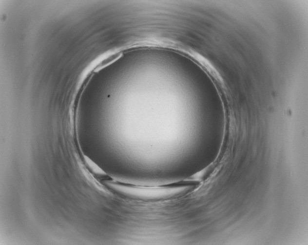 X0000087521238200705111958