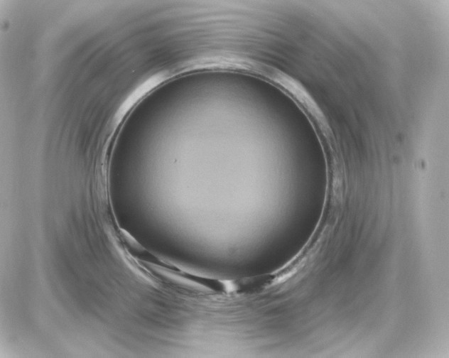 X0000087521242200705111958