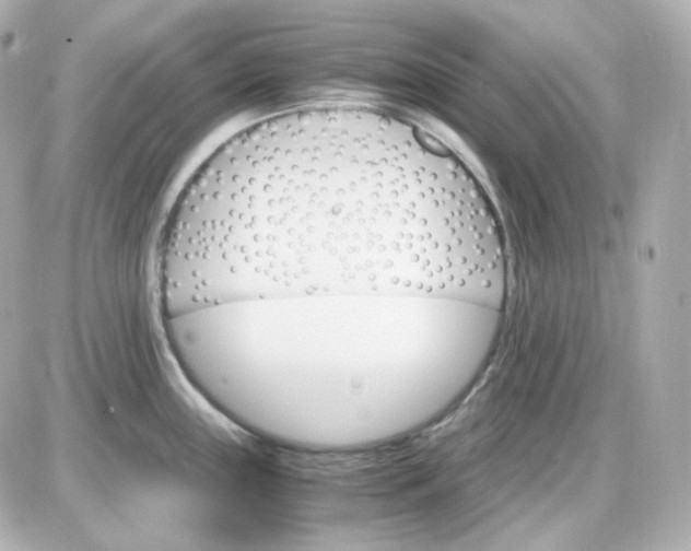 X0000087521243200705111958