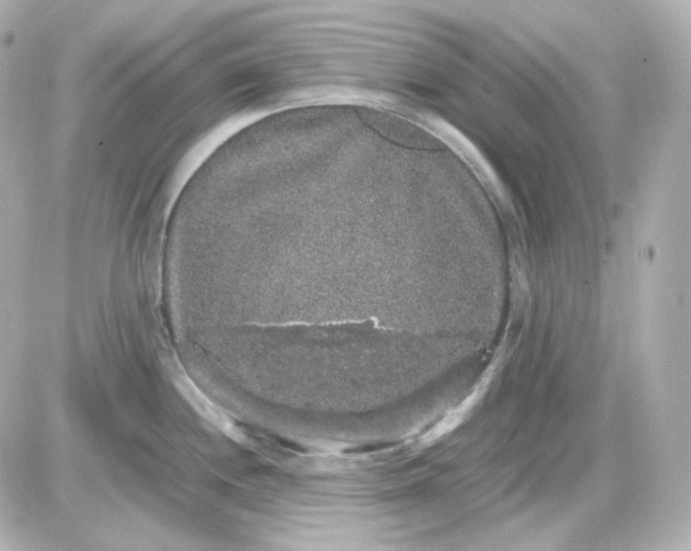 X0000087521244200705111958