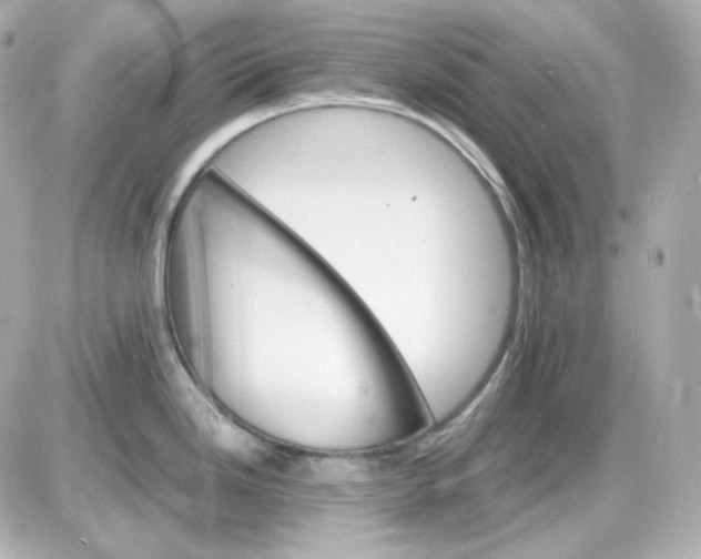 X0000087521246200705111958