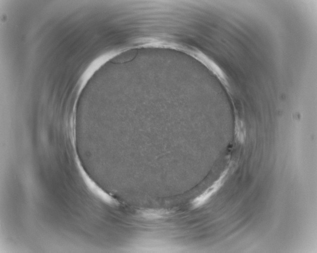 X0000087521247200705111958