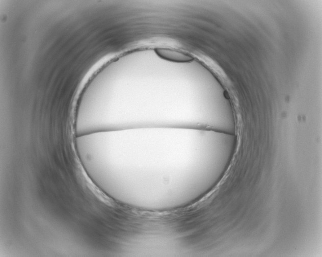 X0000087521248200705111958