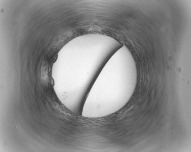 X0000087521250200705111957