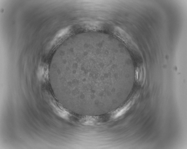 X0000087521251200705111957