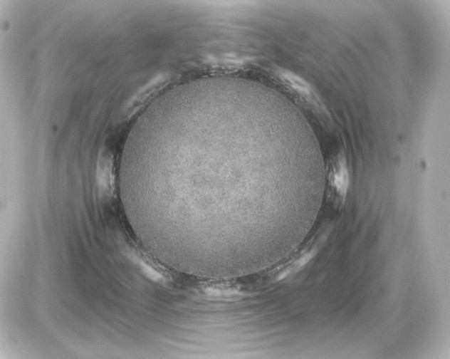 X0000087521252200705111957