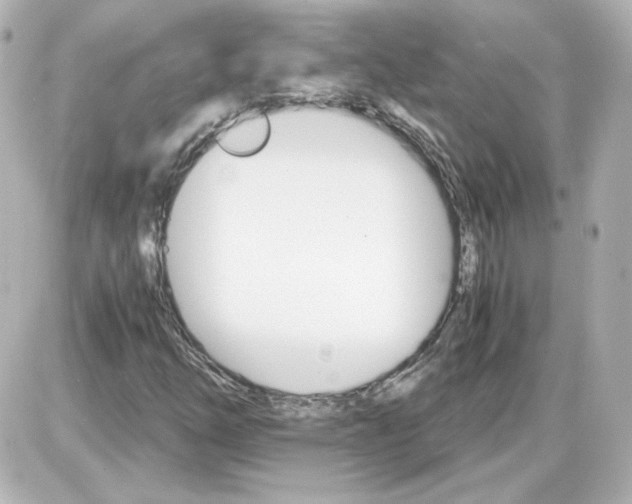 X0000087521254200705111957