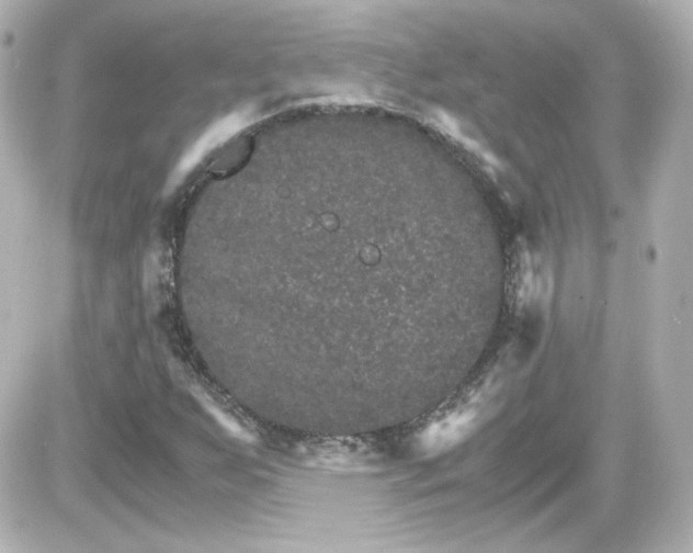 X0000087521255200705111957