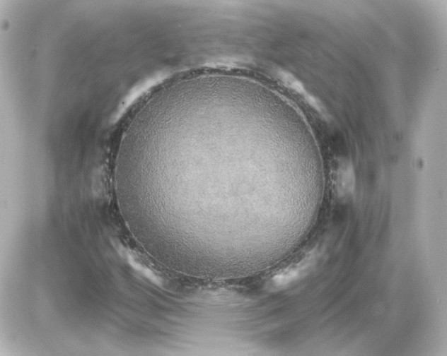 X0000087521256200705111957