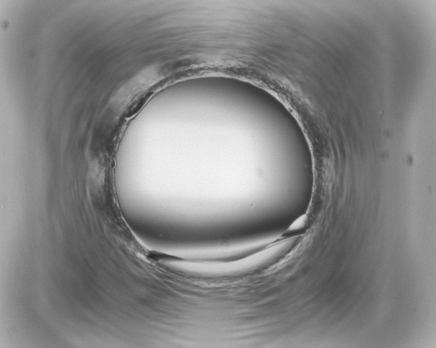 X0000087521257200705111957