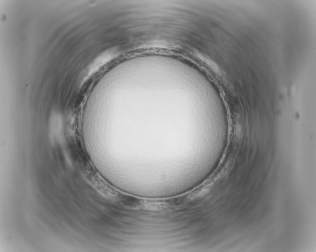 X0000087521258200705111957