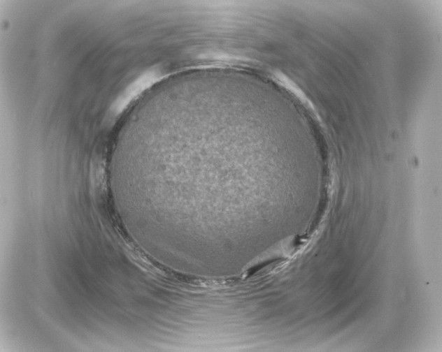 X0000087521259200705111957