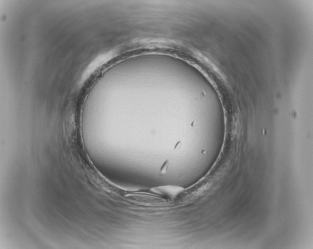 X0000087521261200705111957