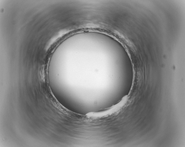 X0000087521262200705111957