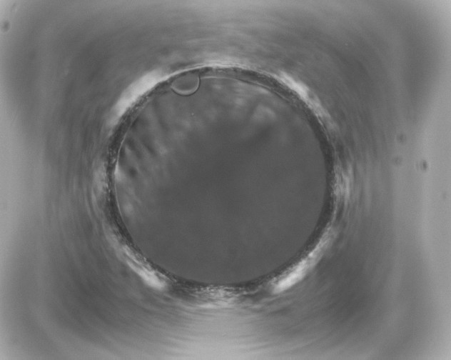 X0000087521263200705111957