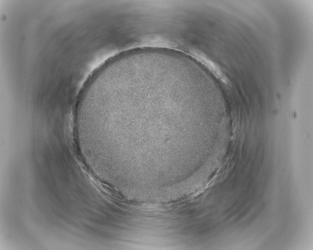 X0000087521264200705111957