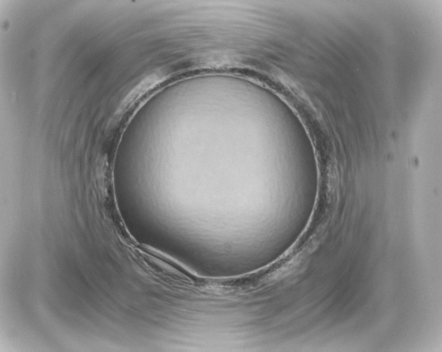 X0000087521265200705111957