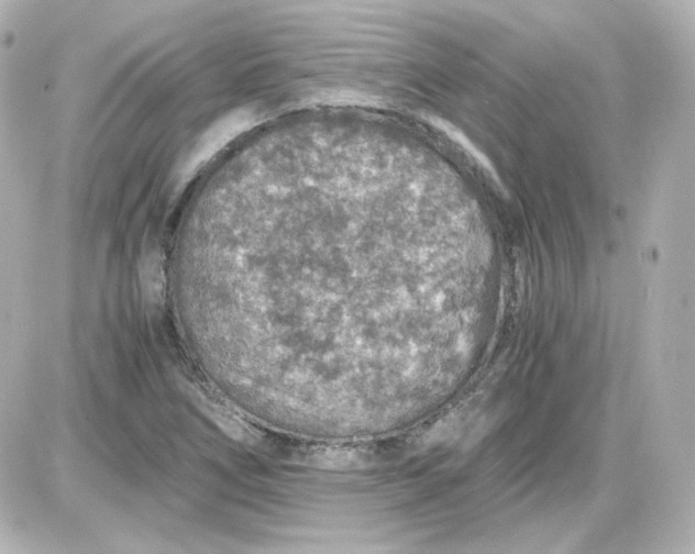 X0000087521266200705111957