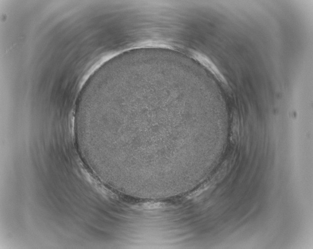 X0000087521268200705111957