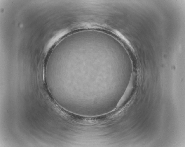 X0000087521269200705111957