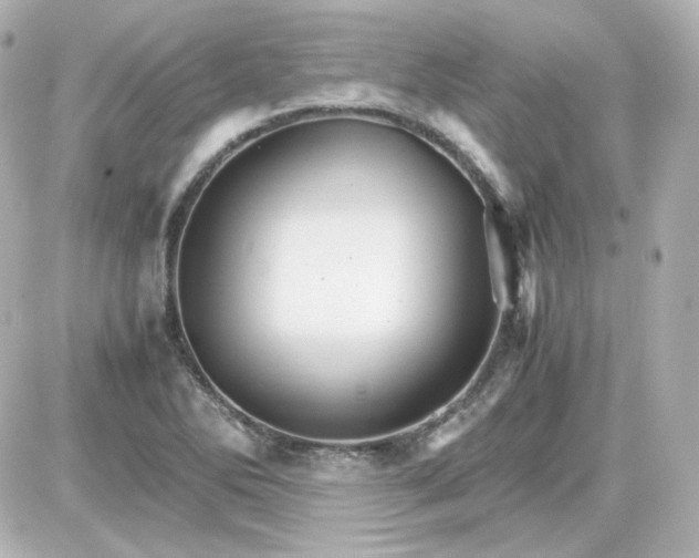 X0000087521270200705111957