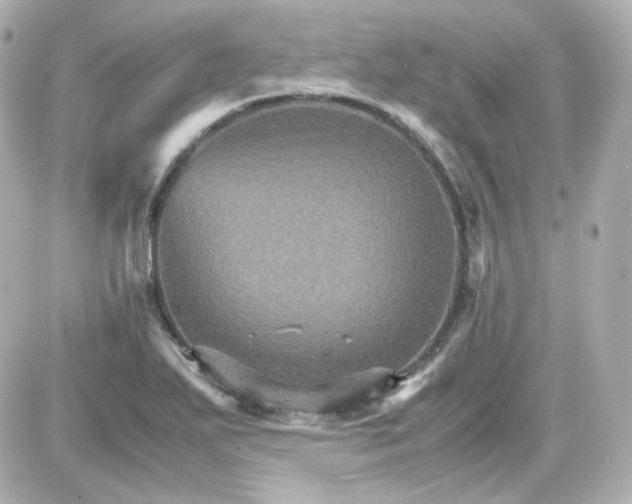 X0000087521271200705111957