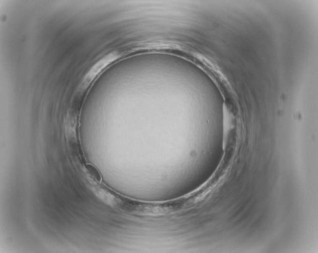 X0000087521273200705111957