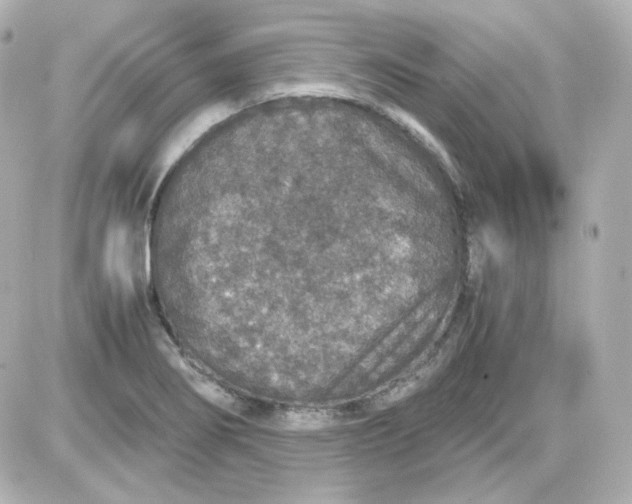 X0000087521274200705111957