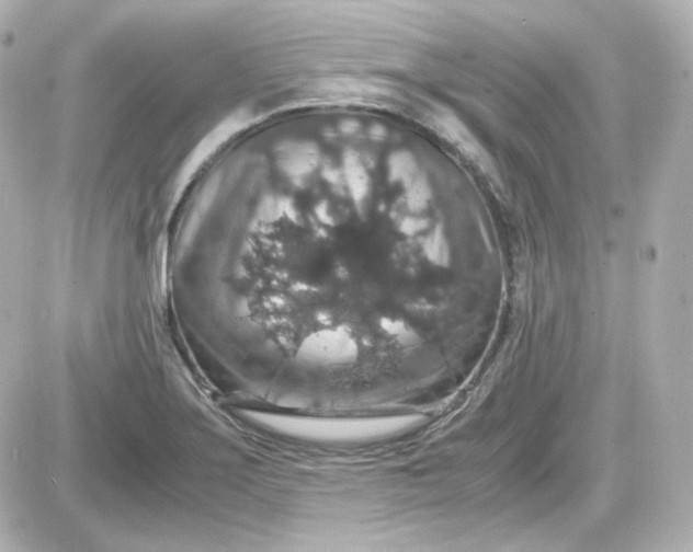 X0000087521275200705111957