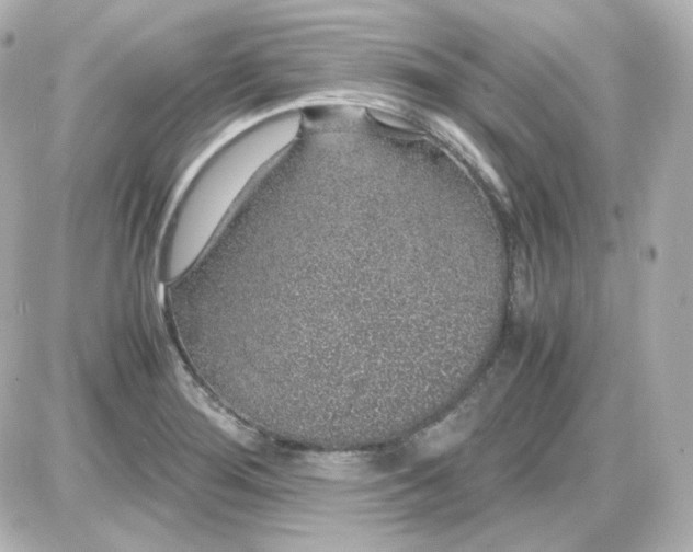 X0000087521276200705111957