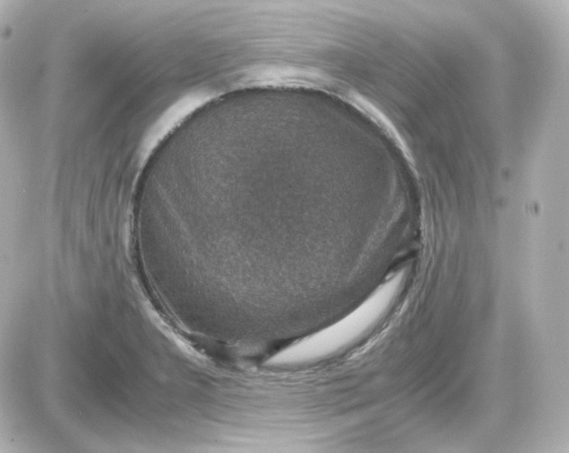 X0000087521277200705111957