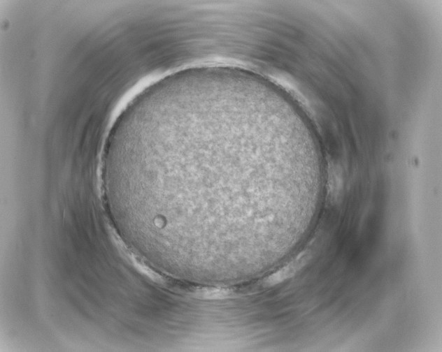 X0000087521278200705111957