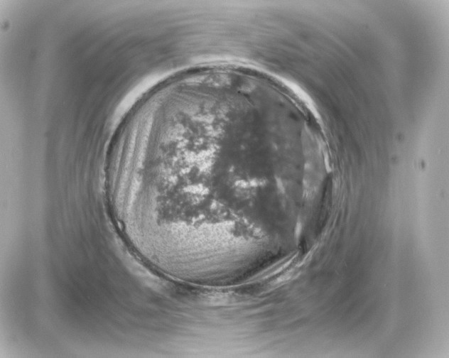 X0000087521279200705111957