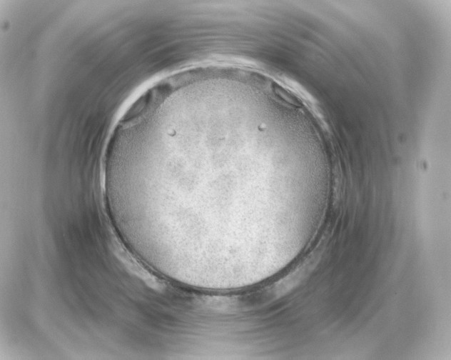 X0000087521280200705111957